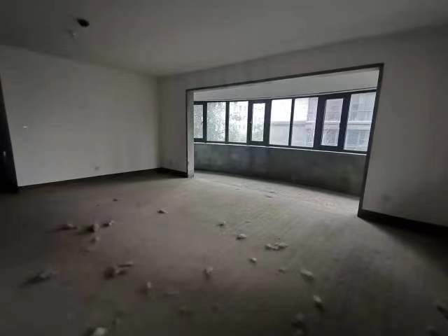 滨江御园电梯洋房大客厅经典套型毛坯3室2厅2卫159.83m²216万元
