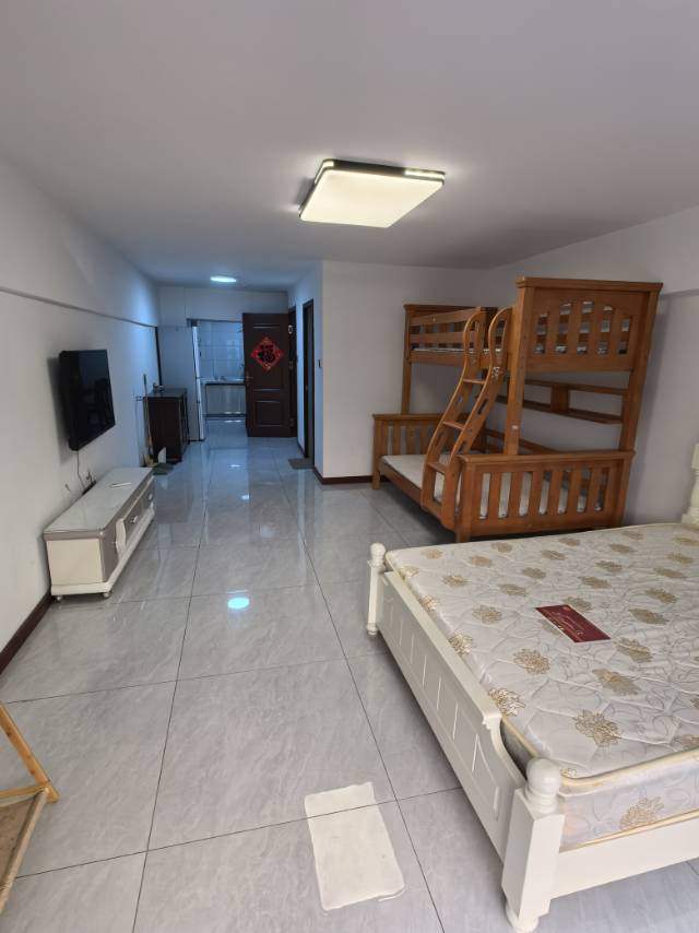 精装修1室1厅1卫60m²1250元/月