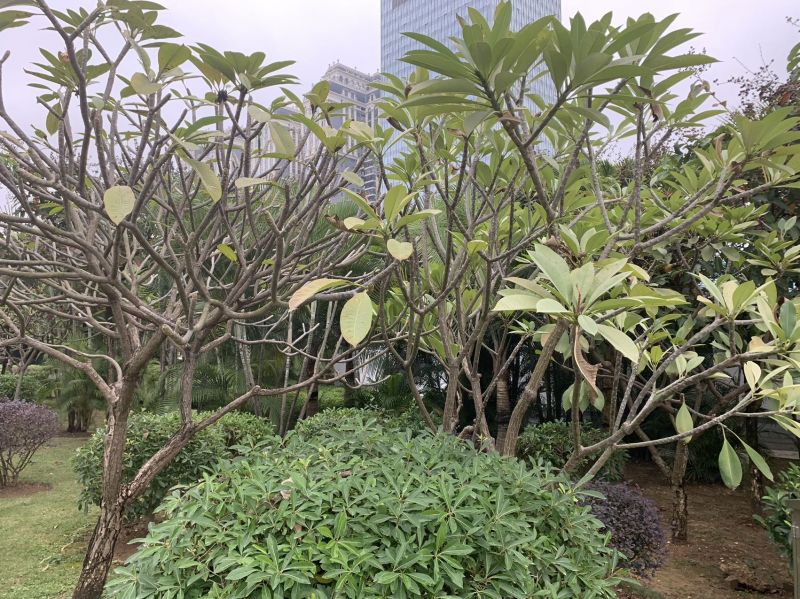 新上！急售好房，3室2厅1卫130.9m²毛坯。