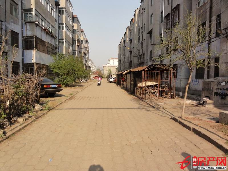 出租别墅，可商住两用，可当小饭桌、培训班使用