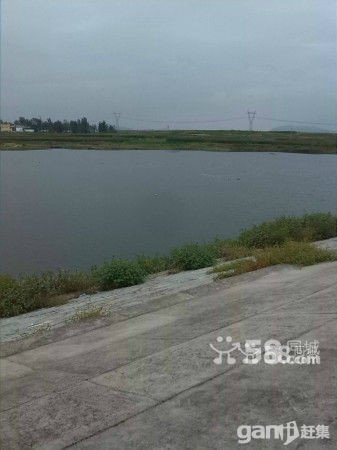 急急急紧急出租水库