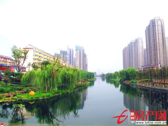 景观房，学区房