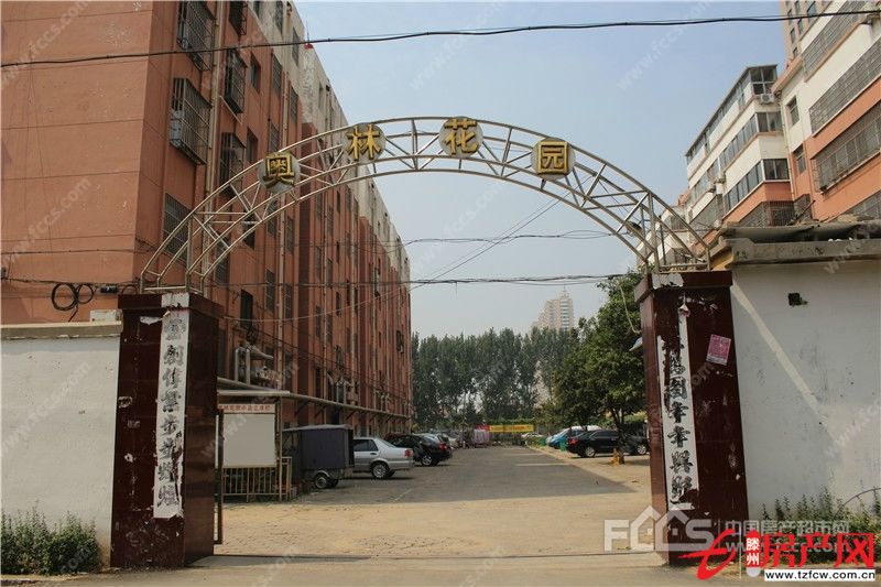 出售奥林花园，黄金四楼，稀缺多层住房，一百平方，送储藏室