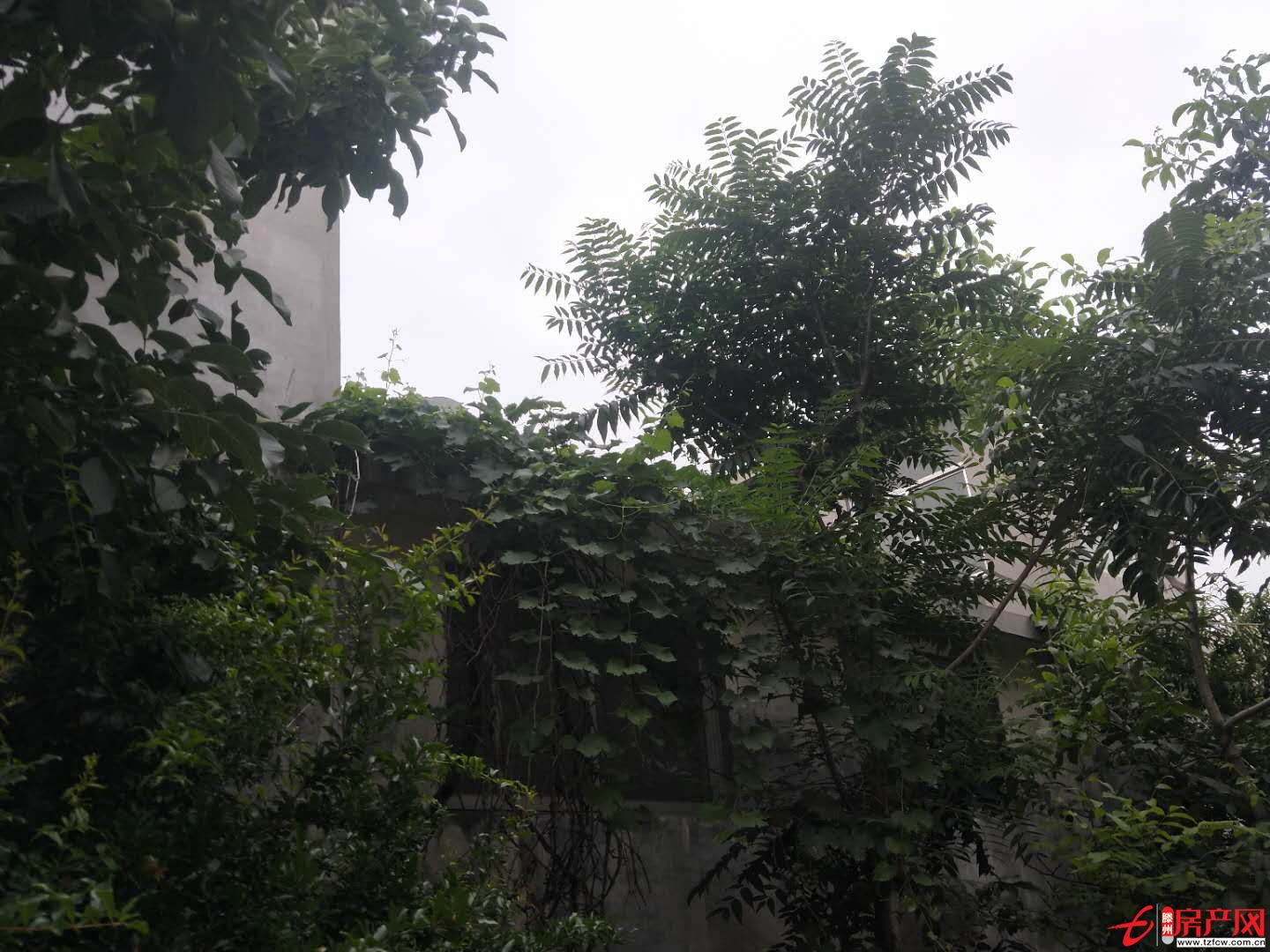 独院一座，方便清净