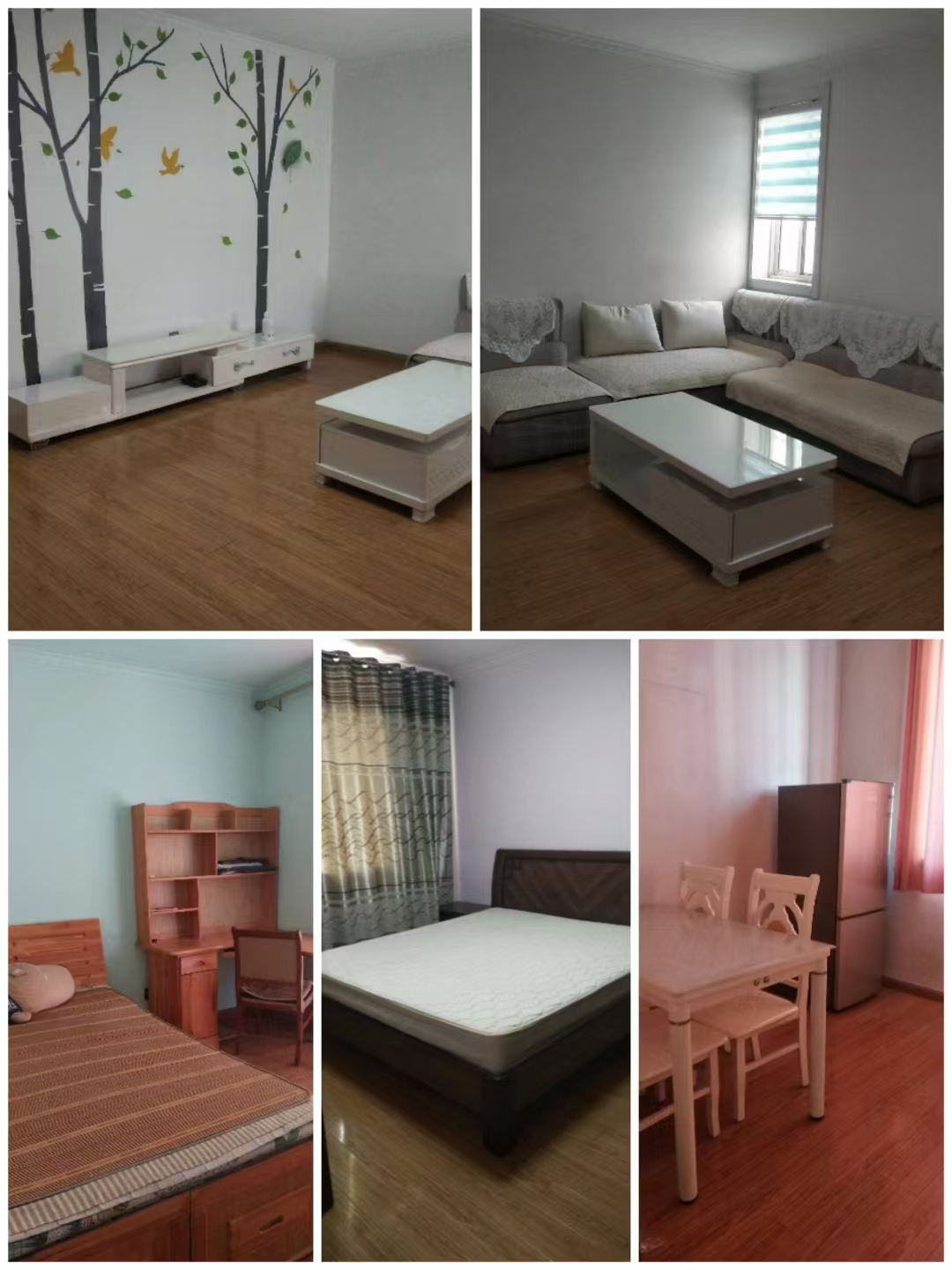 翡翠名苑学区房暖气费已交