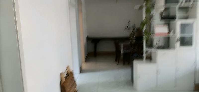 工薪一族、多孩家庭的梦中情房